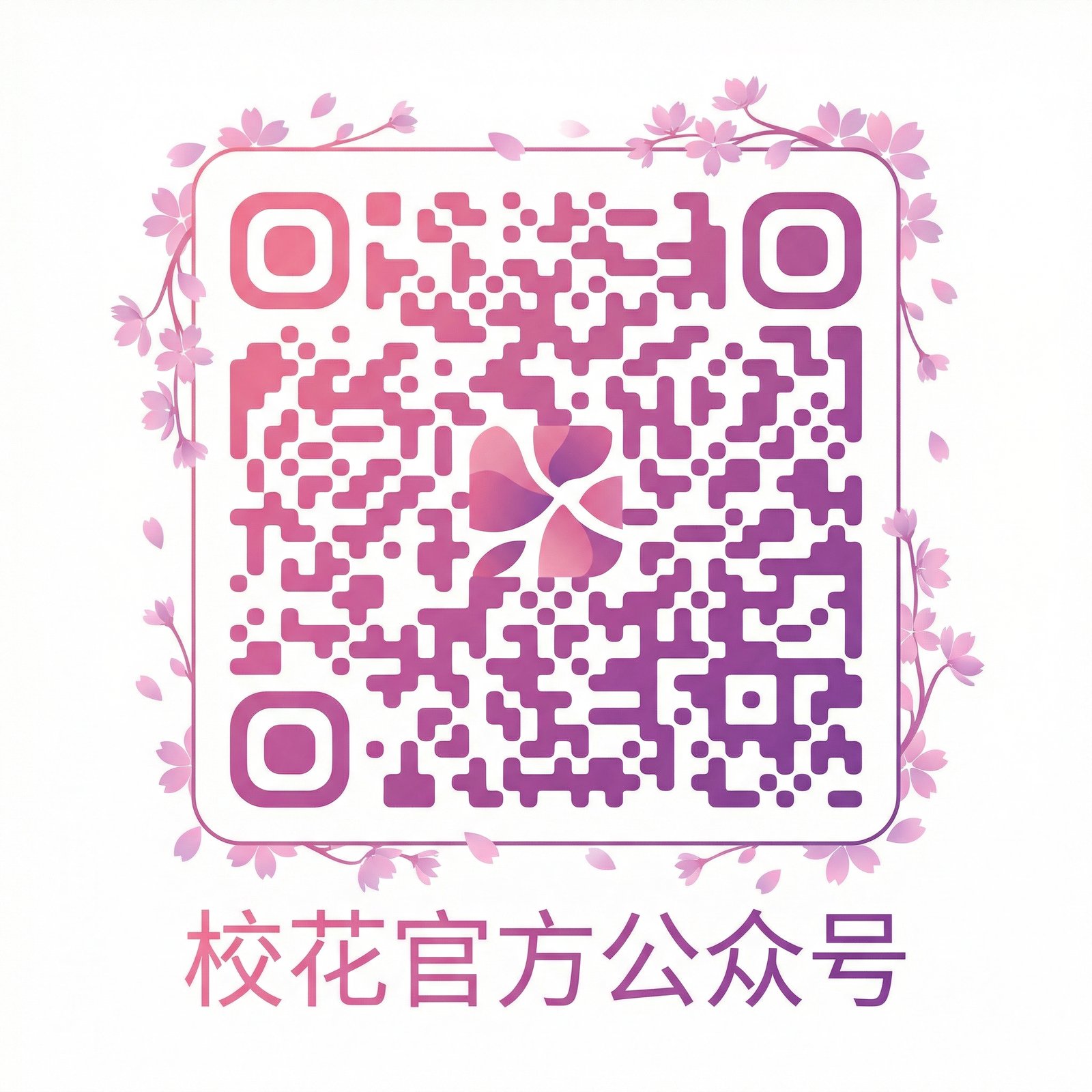 校花官方公众号二维码